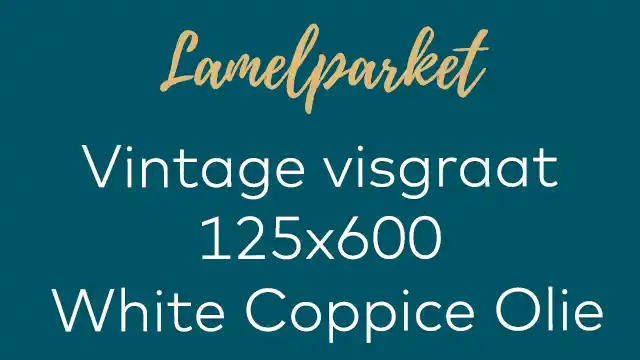 Vintage visgraat White Coppi