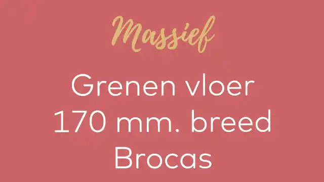 grenen 170 mm. Brocas