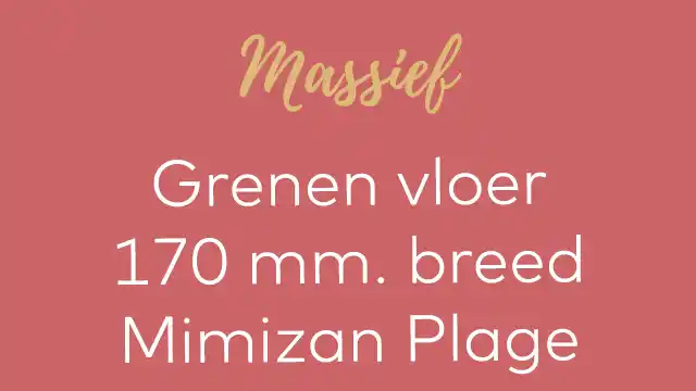 grenen 170 mm. Mimizan Plage