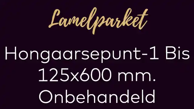Hongaarsepunt lamelplank 1 Bis 125x600 mm. hongaaarse punt onbehandeld
