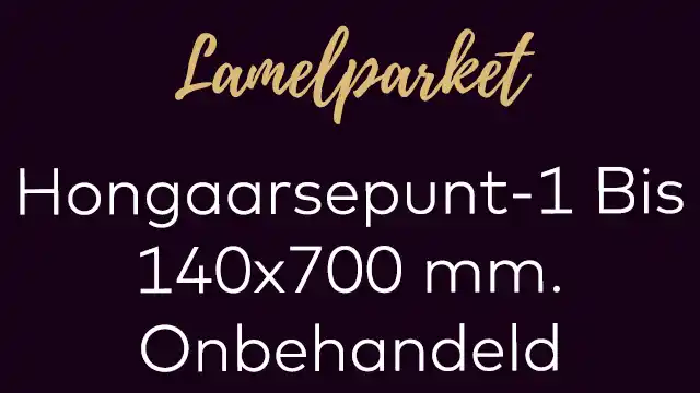 Hongaarsepunt lamelplank 1 Bis 140x700 mm. hongaaarse punt onbehandeld