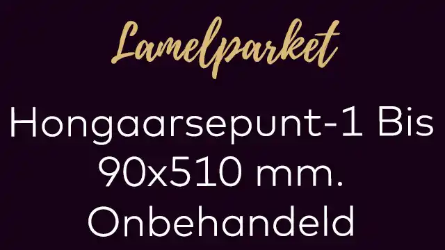 Hongaarsepunt lamelplank 1 Bis 90x510 mm. smalle hongaaarse punt onbehandeld