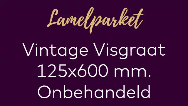 Verouderde oude visgraat 125x600 onbehandeld vintage