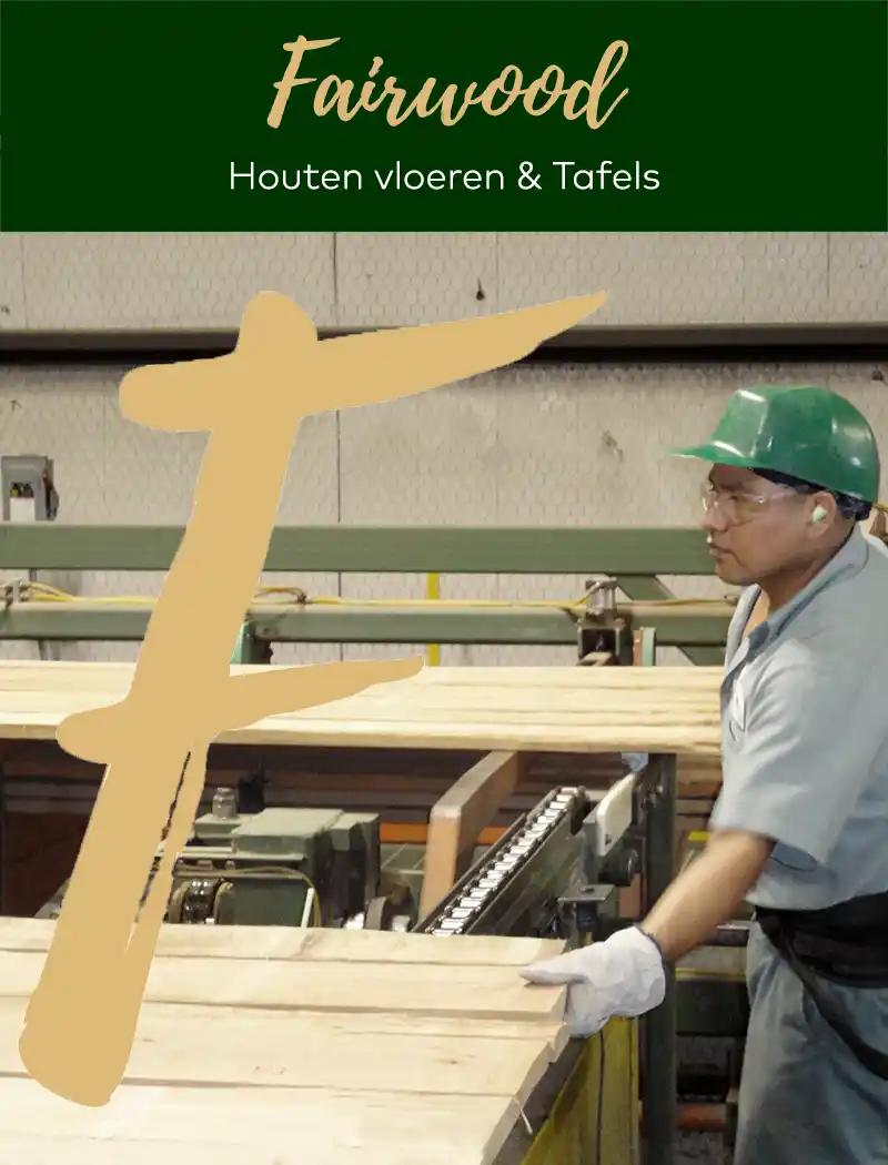 Werking van hout