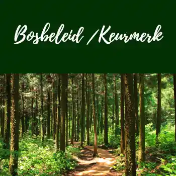 bosbeleid bosbeleid FSC en PEFC