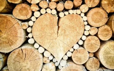 Hoe kun je je huis inrichten met hout?